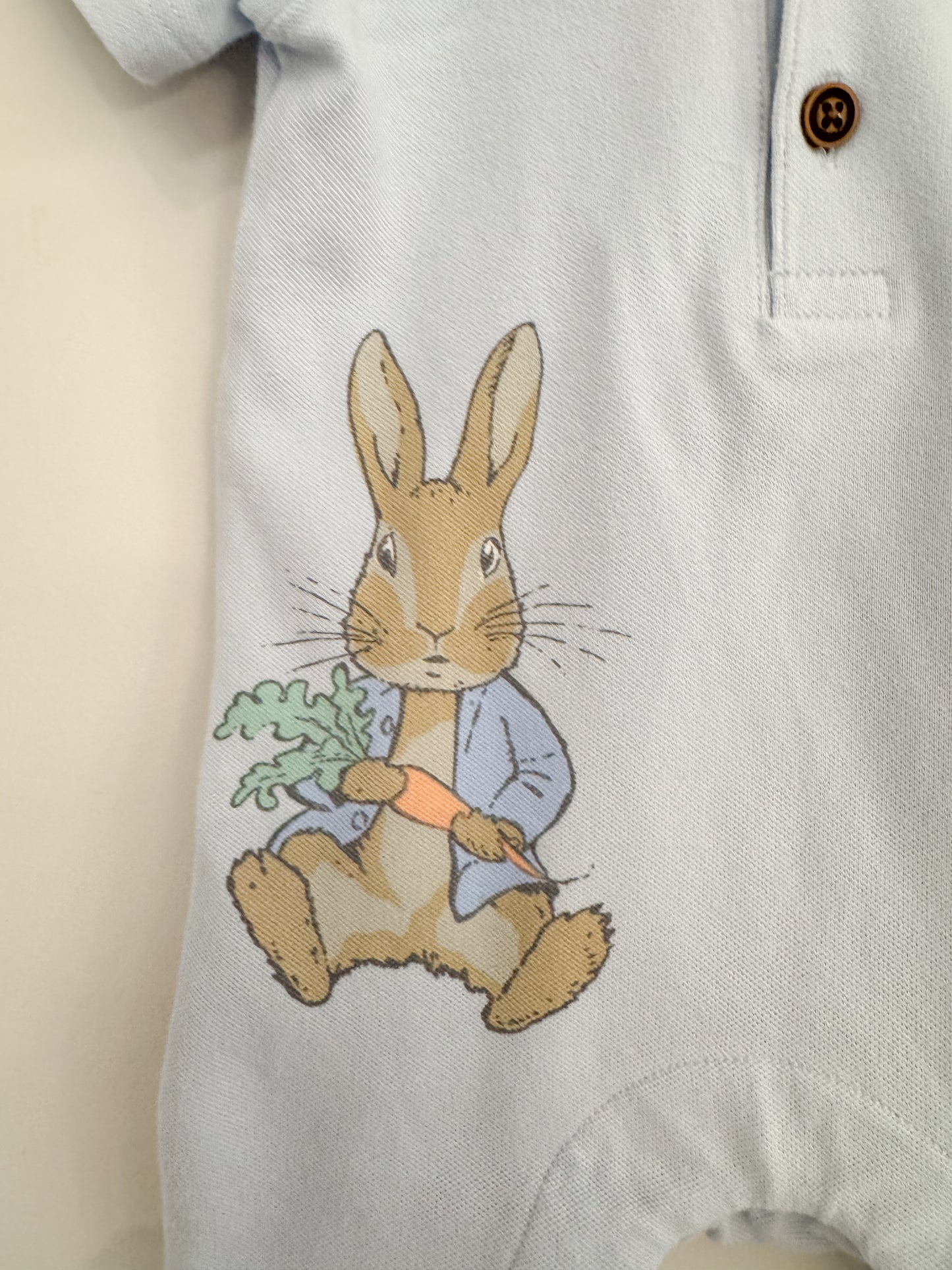Peter Rabbit Onsie