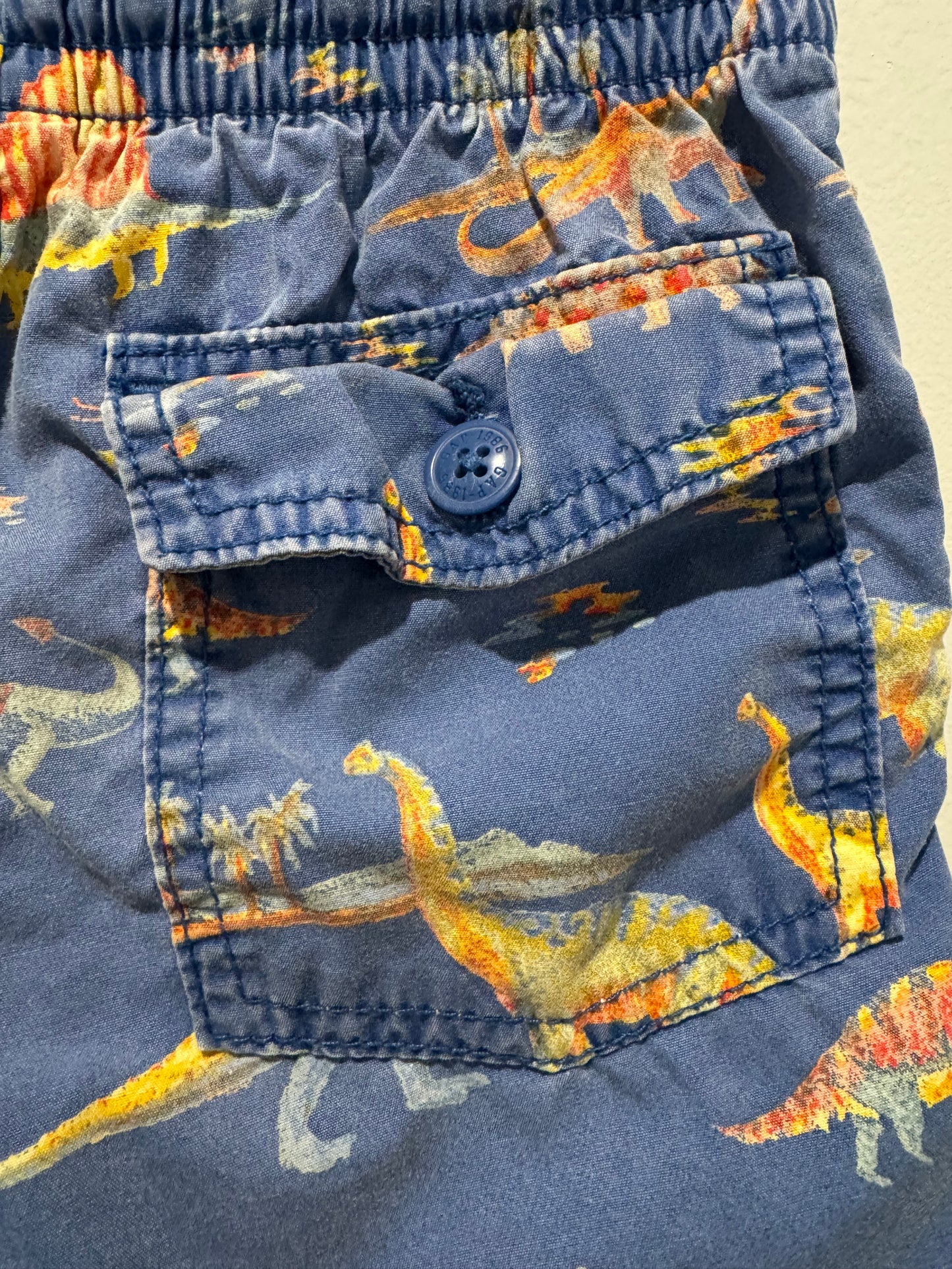 AP Dinosaur Print Shorts – 2 Years