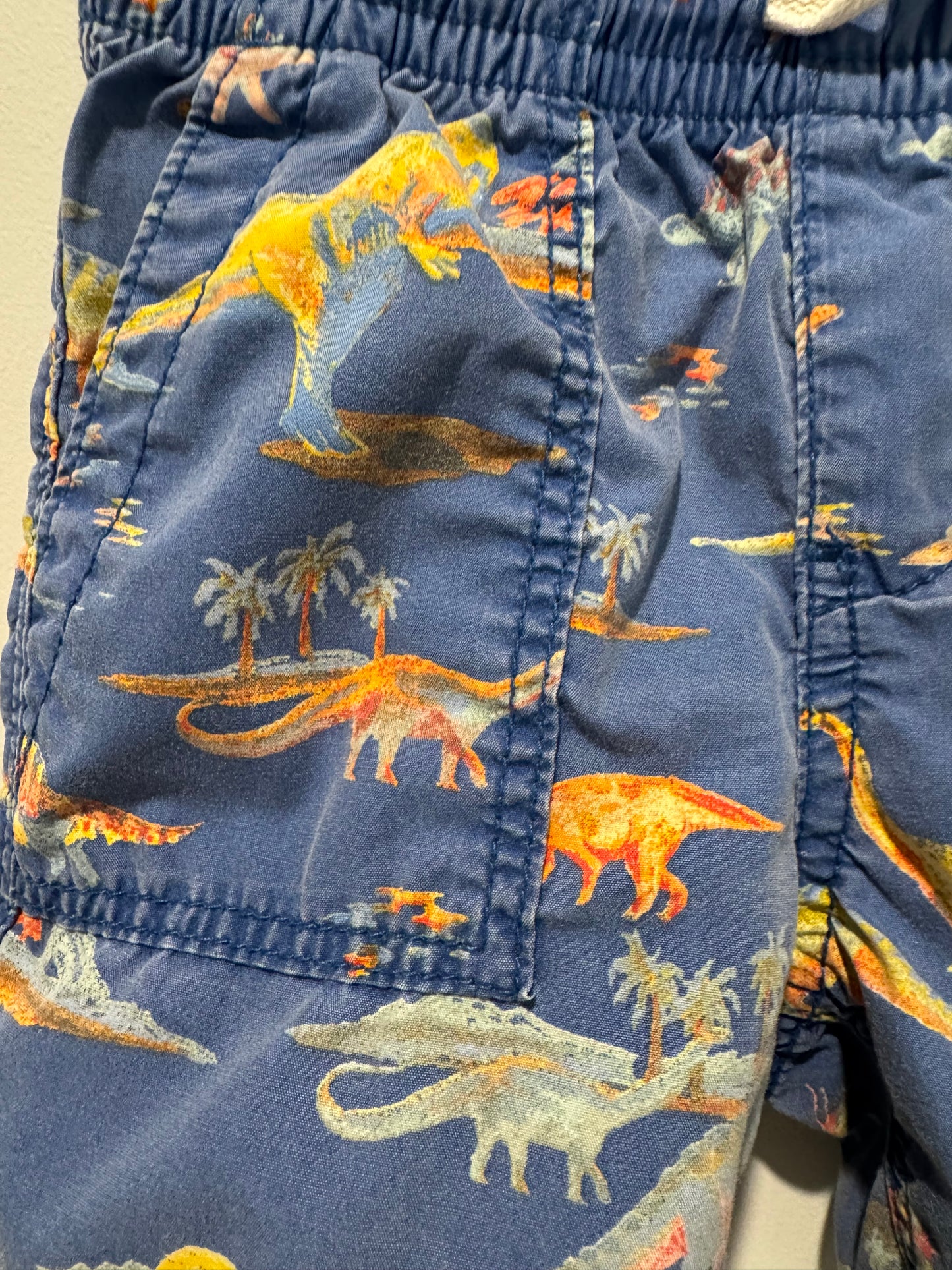 AP Dinosaur Print Shorts – 2 Years